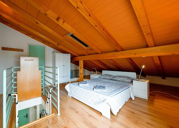 Venus Re Apartment